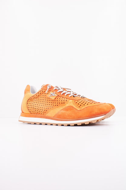 CETTI C V en color AMBR  (2)