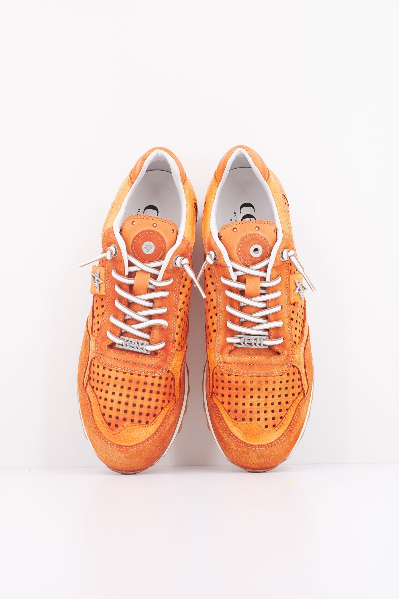 CETTI C V en color AMBR  (3)