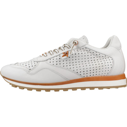 CETTI C V en color BLNC  (2)