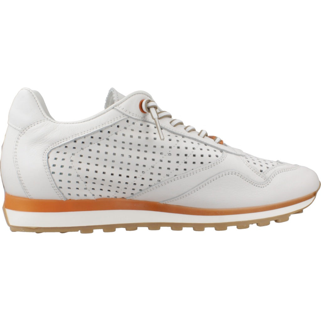 CETTI C V en color BLNC  (4)