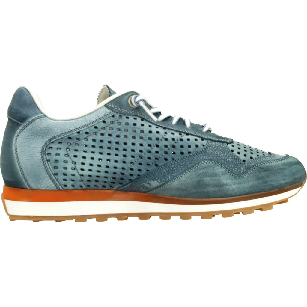 CETTI C V en color INDGO  (4)