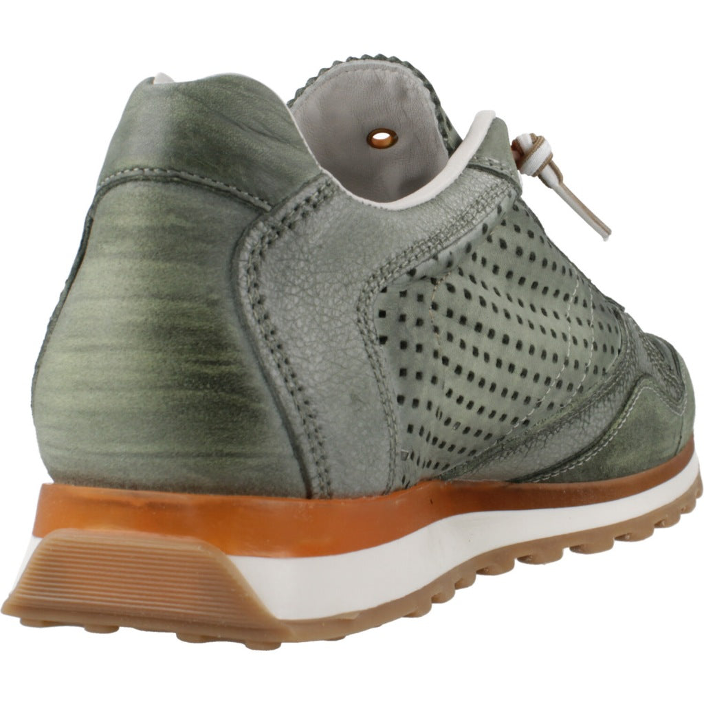 CETTI C V en color KMBT  (3)