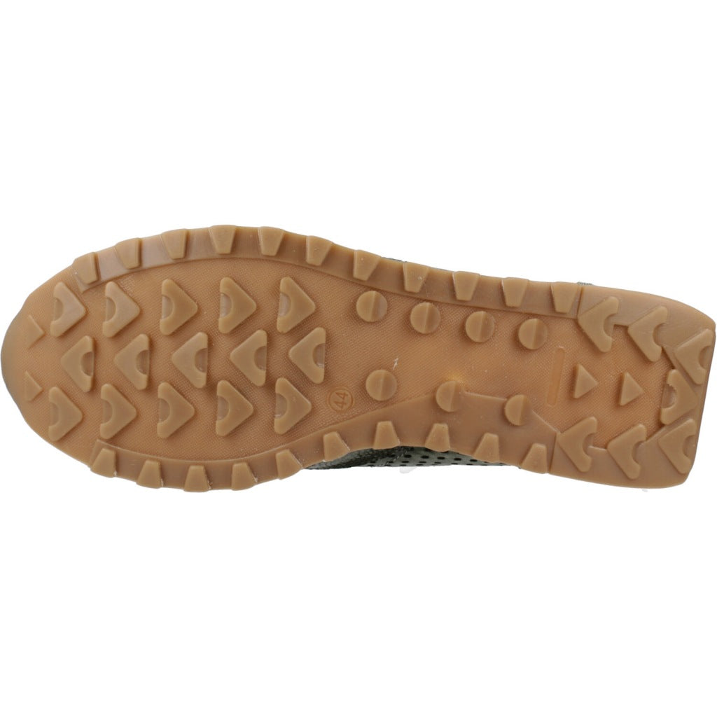 CETTI C V en color KMBT  (6)