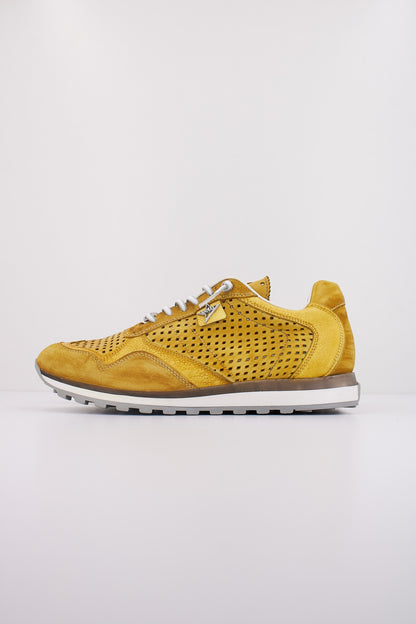 CETTI C V en color LEMON  (1)