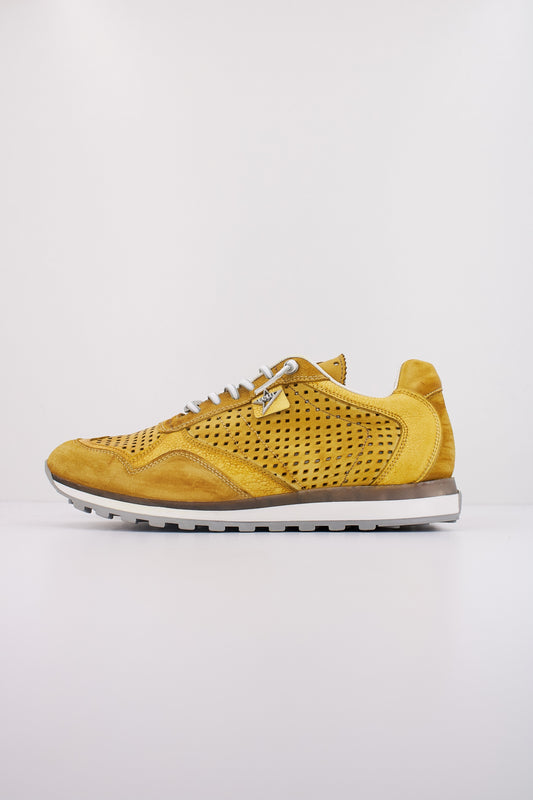 CETTI C V en color LEMON  (1)