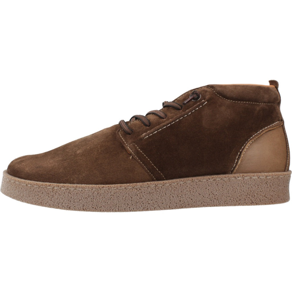 CETTI C INV en color CHCLT  (2)