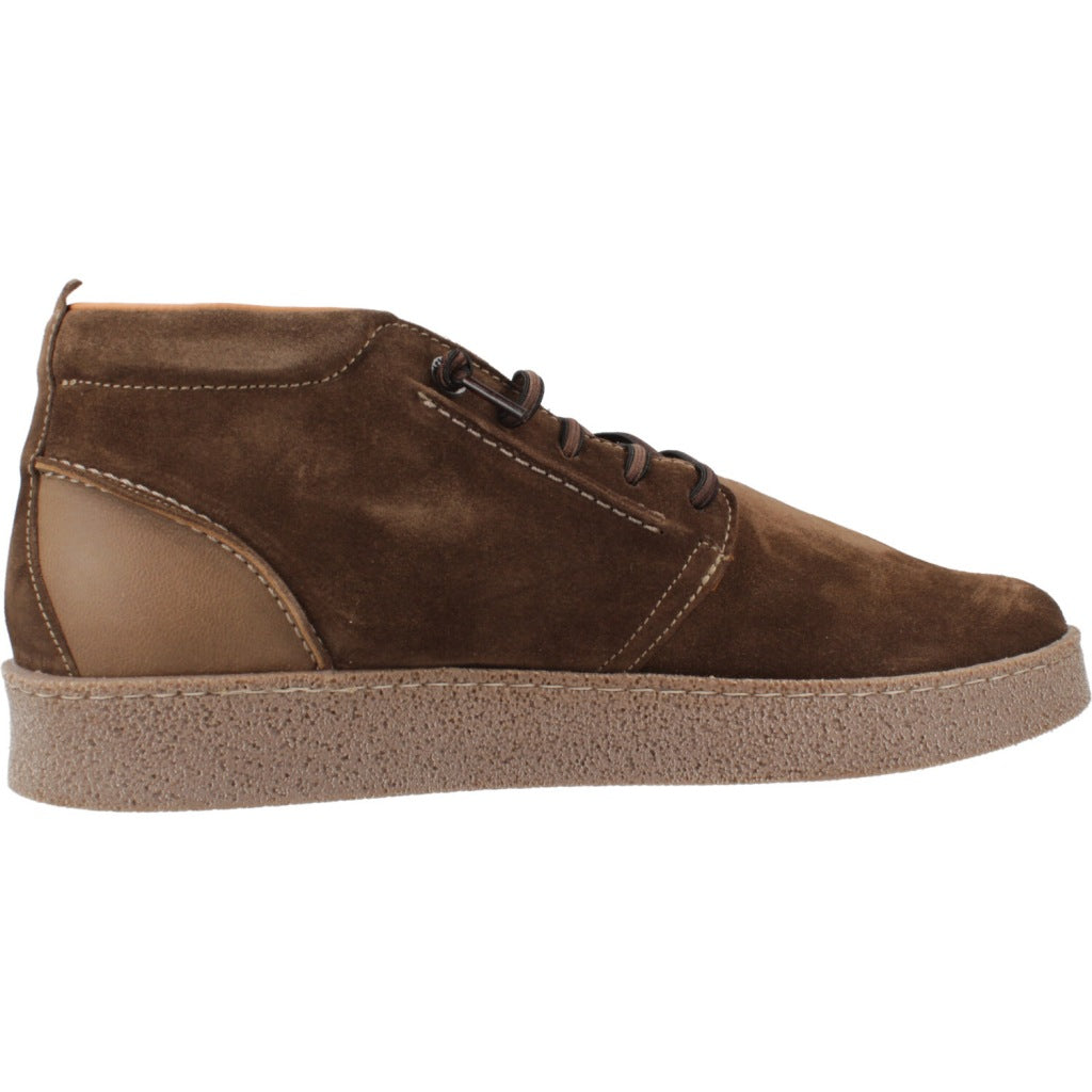 CETTI C INV en color CHCLT  (4)