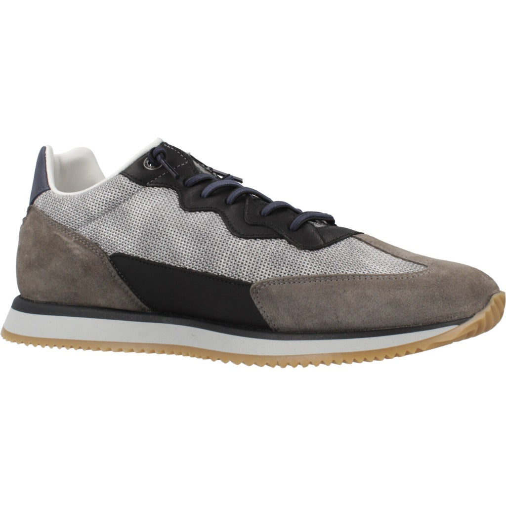 CETTI C INV en color STELL  (5)