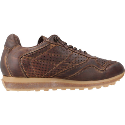 CETTI C INV en color MOKA  (4)