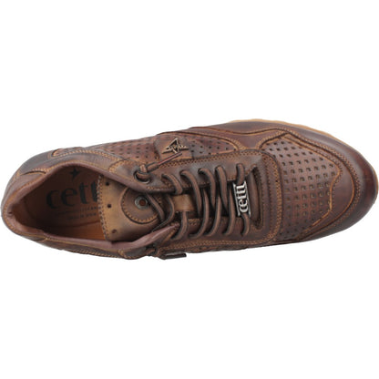 CETTI C INV en color MOKA  (7)