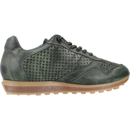 CETTI C INV en color MUSGO  (4)