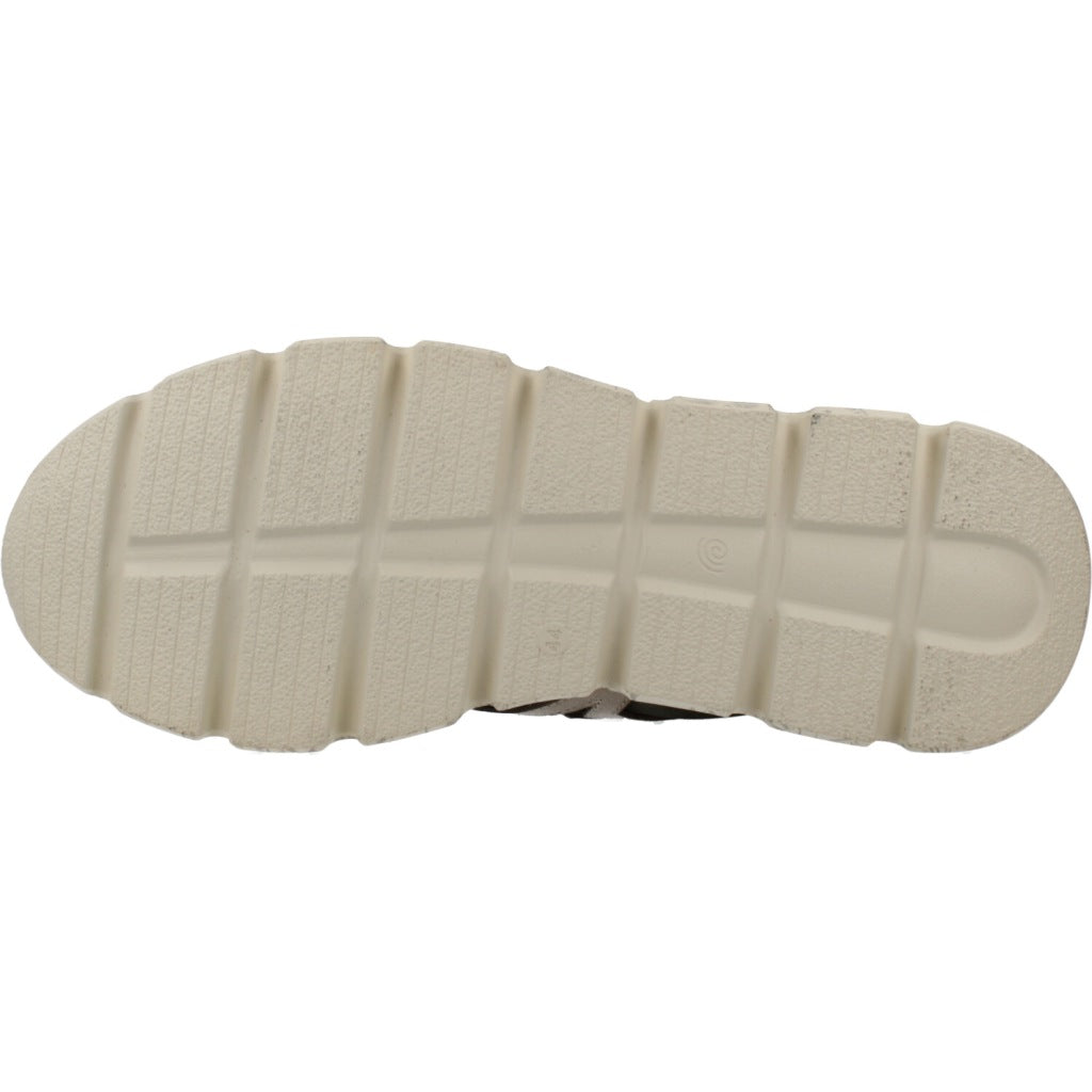 CETTI C XL V en color MILITARE  (6)