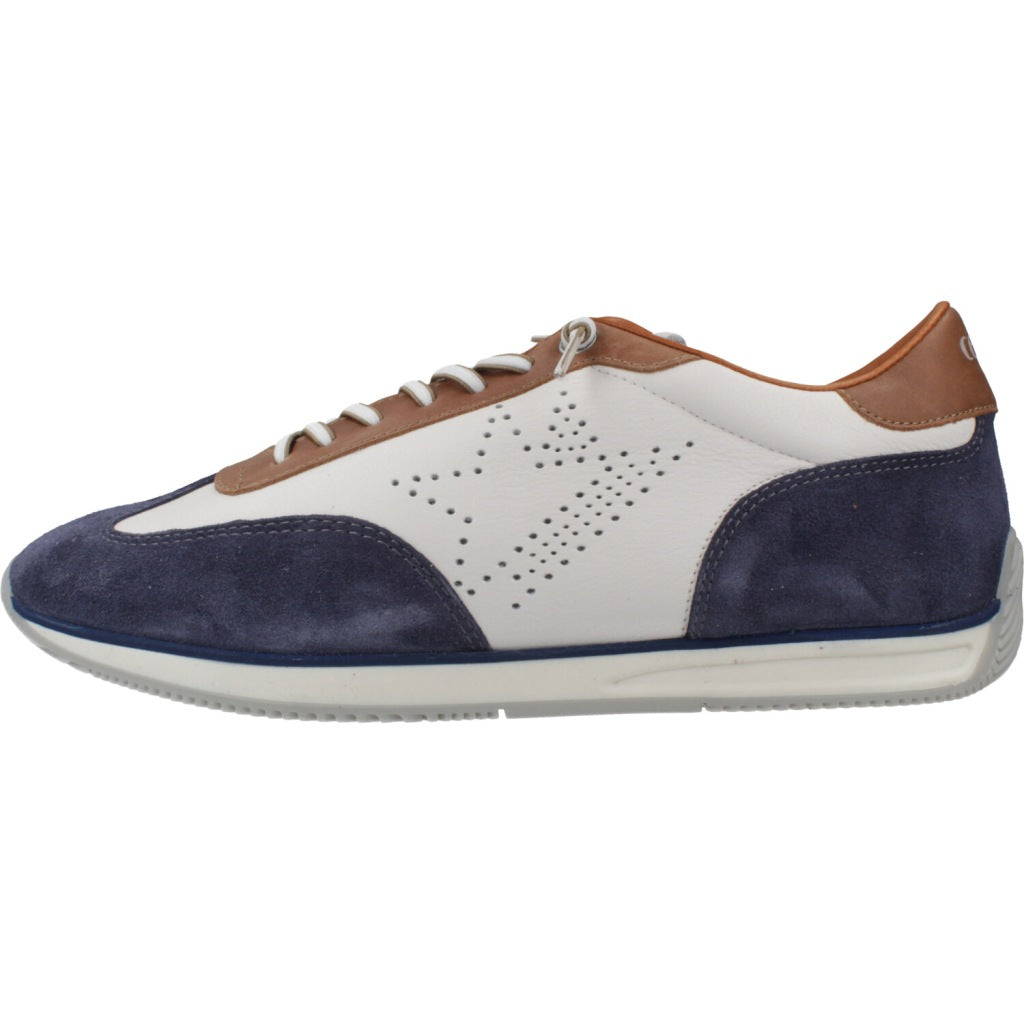 CETTI C V en color NAVY  (2)