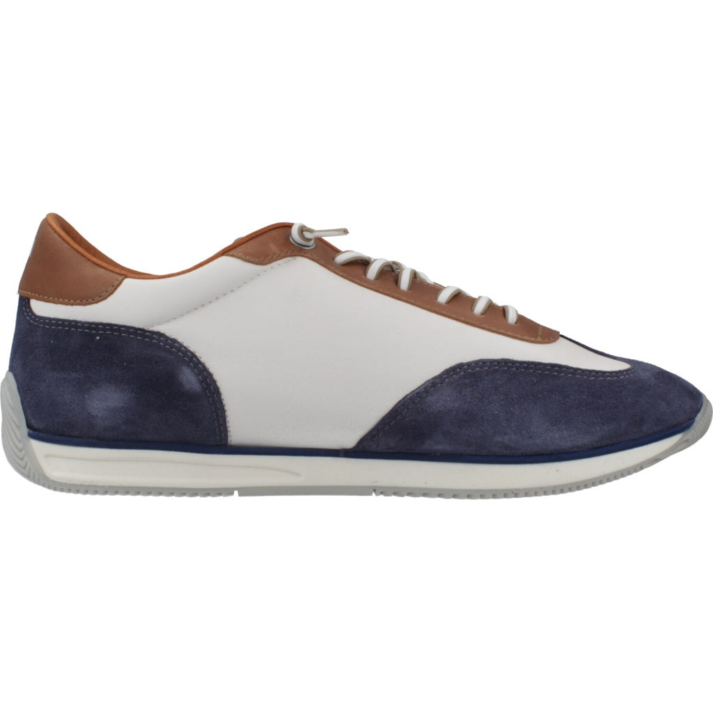 CETTI C V en color NAVY  (4)