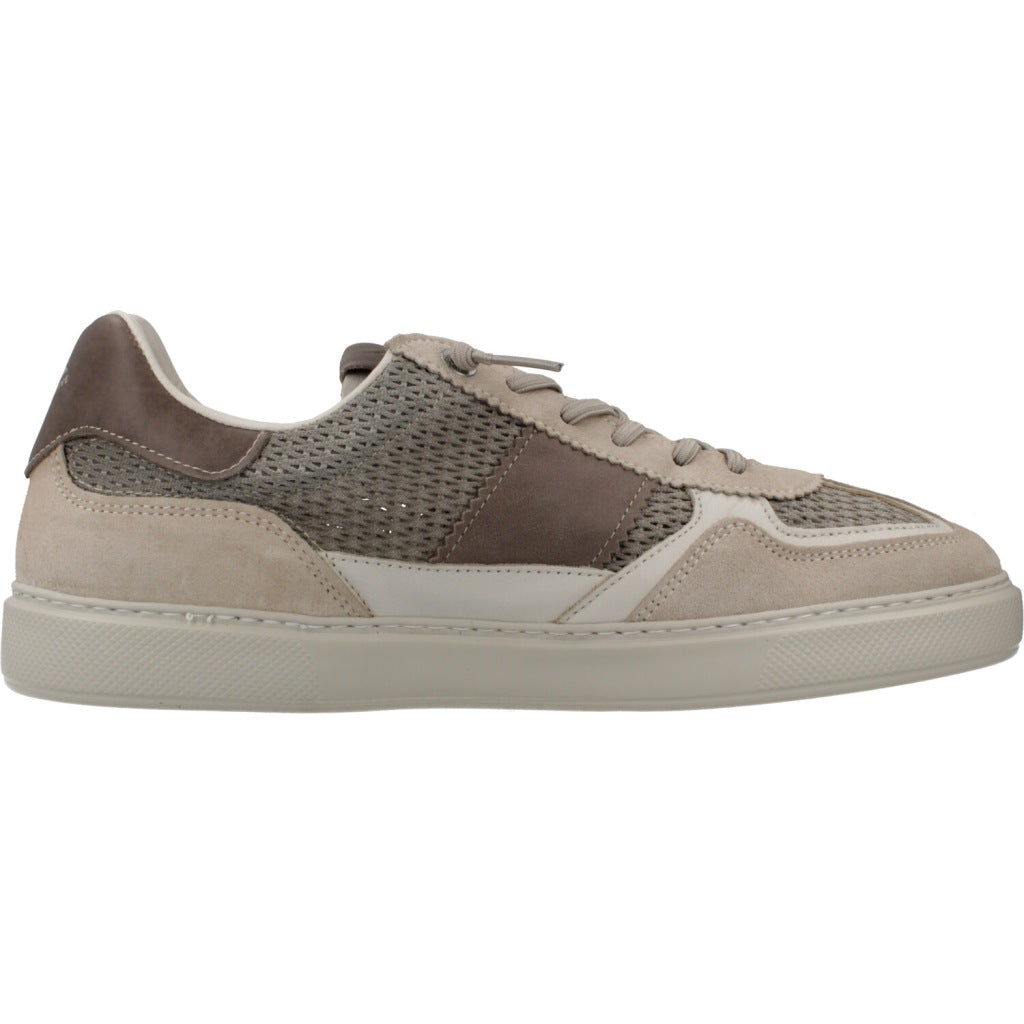 CETTI C V en color WASABI  (4)
