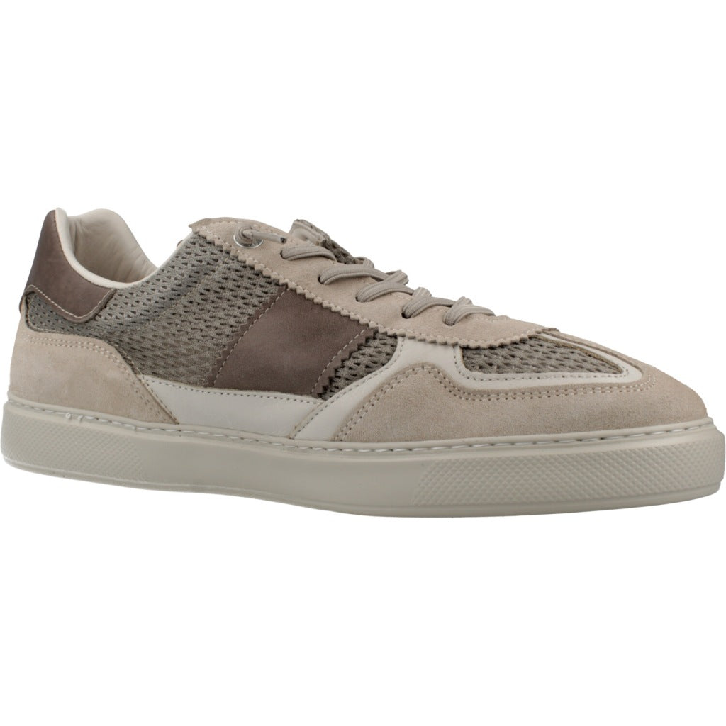 CETTI C V en color WASABI  (5)