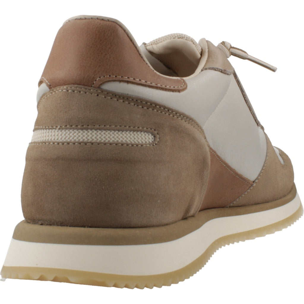 CETTI C V en color DESSERT  (3)