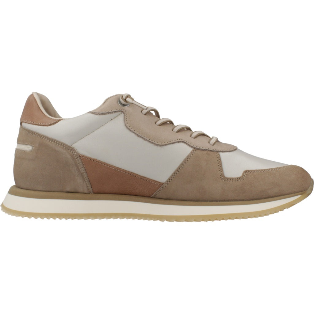 CETTI C V en color DESSERT  (4)
