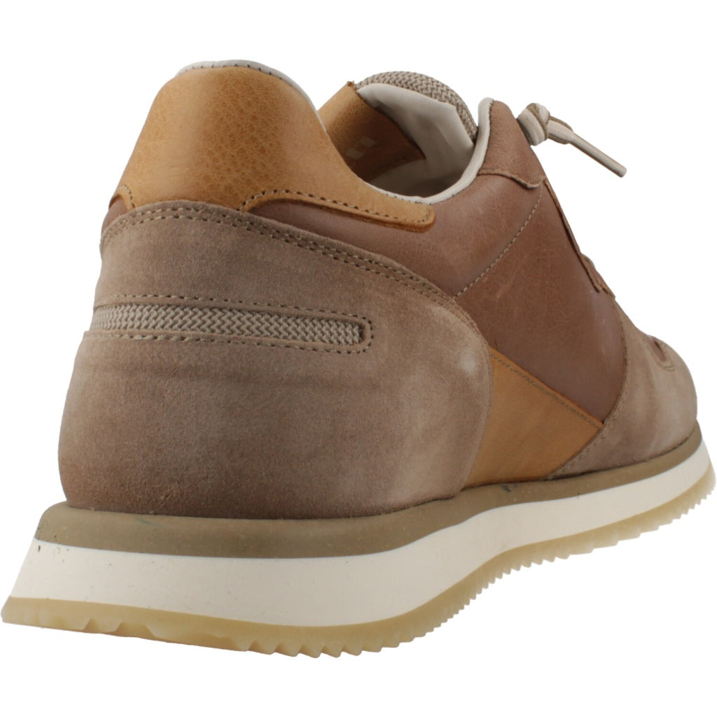 CETTI C V en color WOOD  (3)