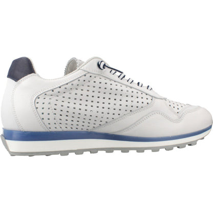 CETTI C V  en color WHTNVY  (4)