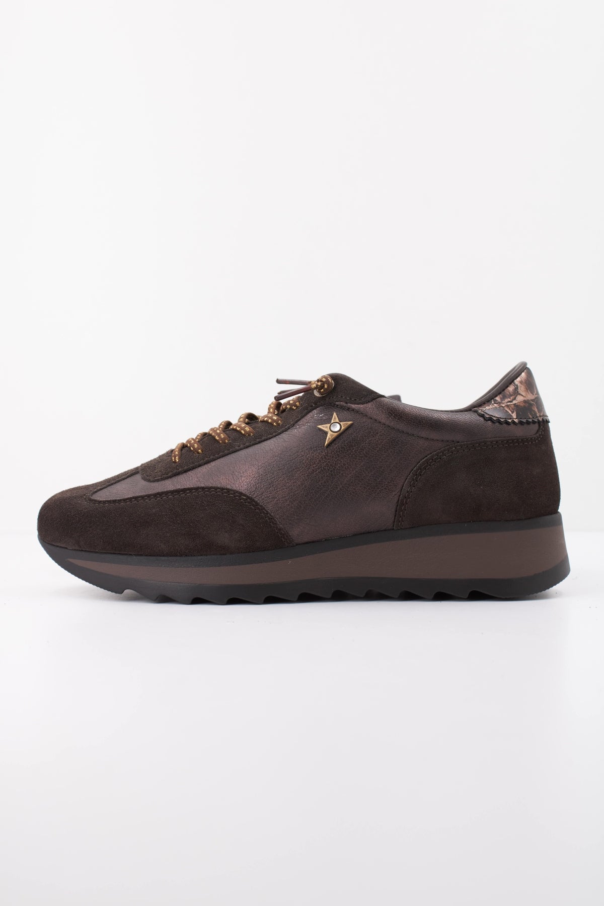 CETTI CSRA INV en color COFFEE  (1)