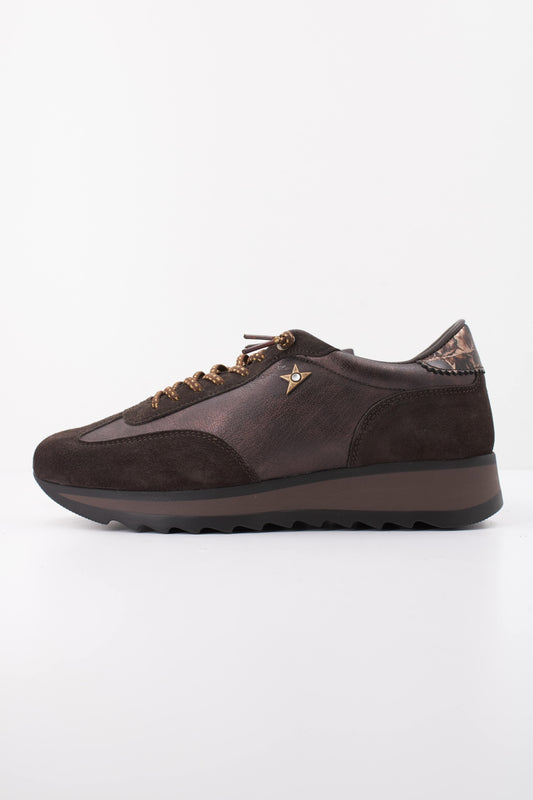 CETTI CSRA INV en color COFFEE  (1)
