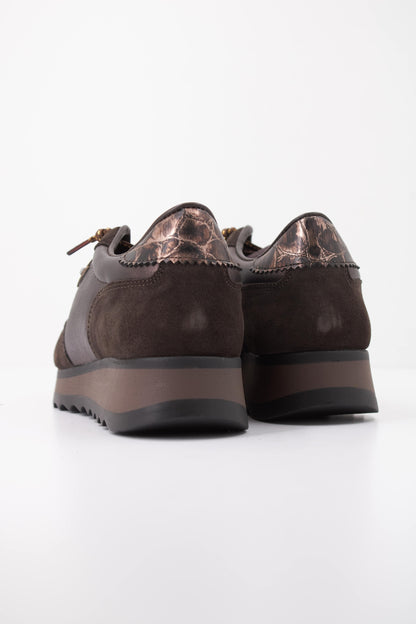 CETTI CSRA INV en color COFFEE  (4)