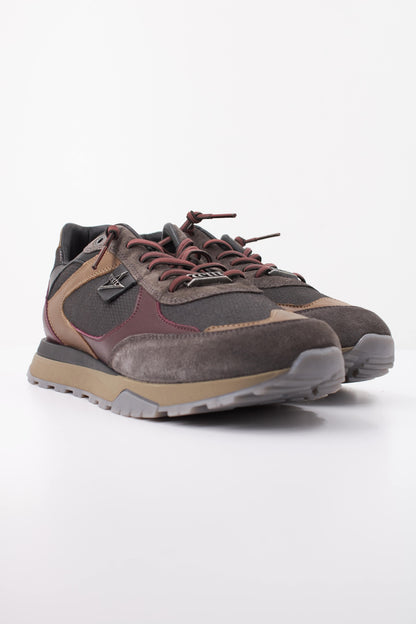 CETTI C INV DEPORTIV en color TRMNTA  (2)