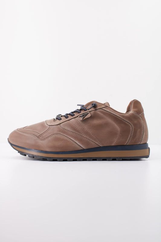 CETTI C INV  en color TAUPE  (1)