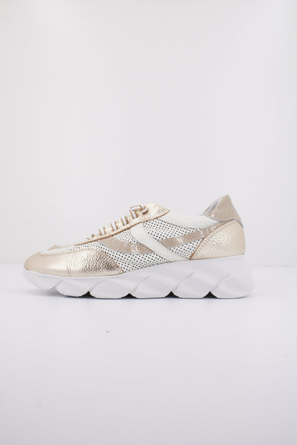  HORAS   en color TAUPE  (1)