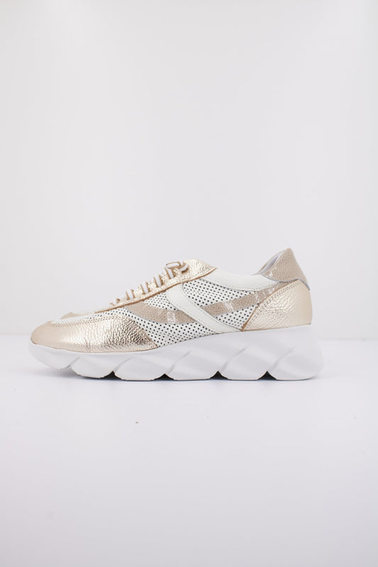  HORAS   en color TAUPE  (1)