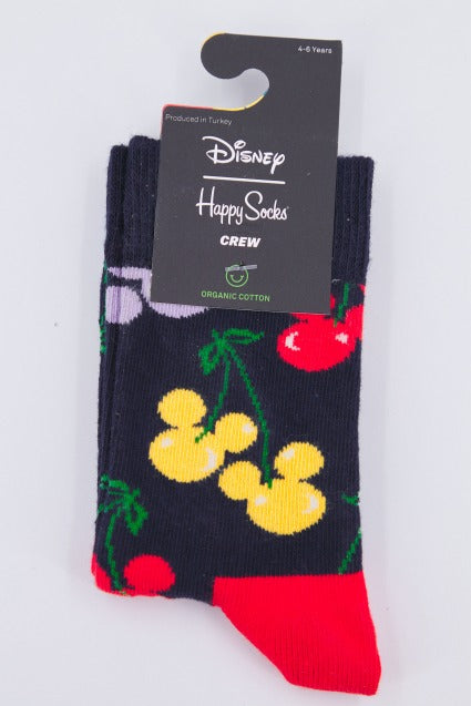 HAPPY SOCKS KDNY  en color   (1)