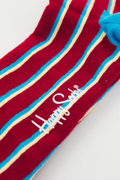 HAPPY SOCKS  BLOCKED STRIPE en color   (4)