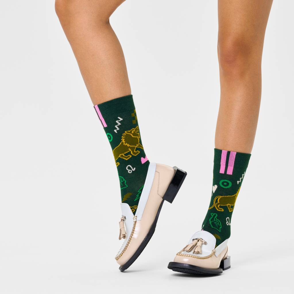 HAPPY SOCKS  LEO SOCK en color   (6)