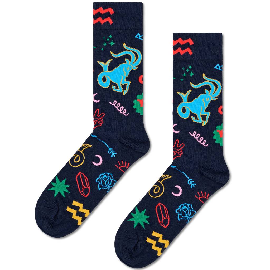 HAPPY SOCKS CAPRICORN SOCK en color   (4)