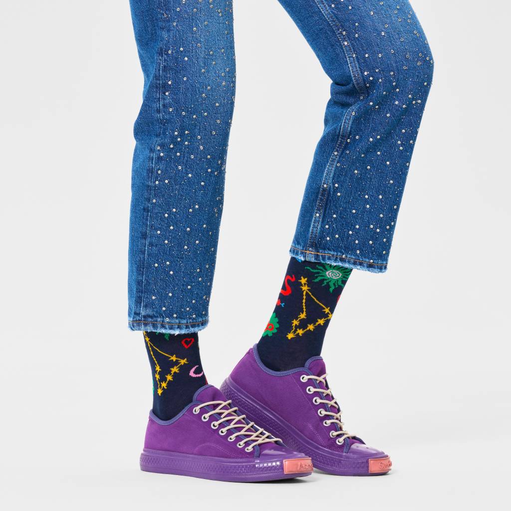 HAPPY SOCKS CAPRICORN SOCK en color   (6)