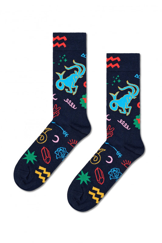 HAPPY SOCKS CAPRICORN SOCK en color   (1)