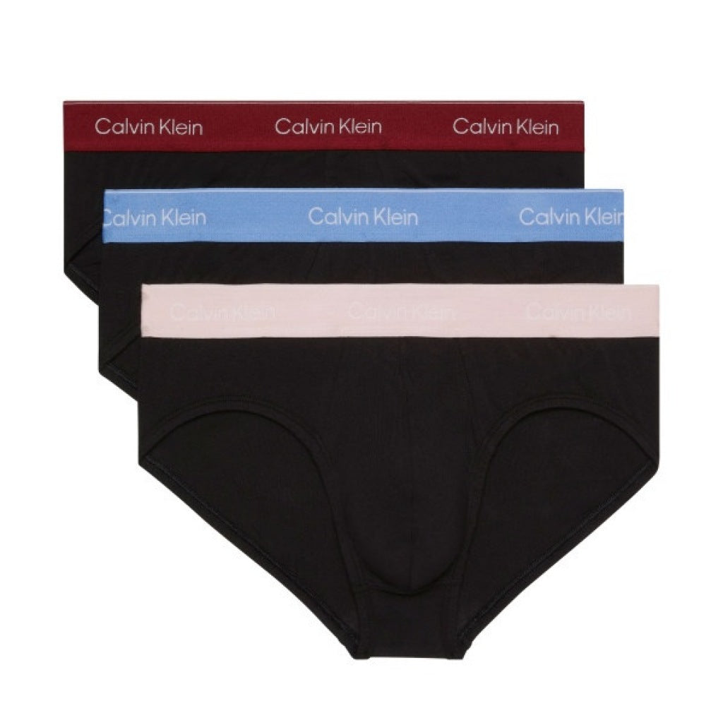 CALVIN KLEIN HIP BRIEF PK en color VA  (3)
