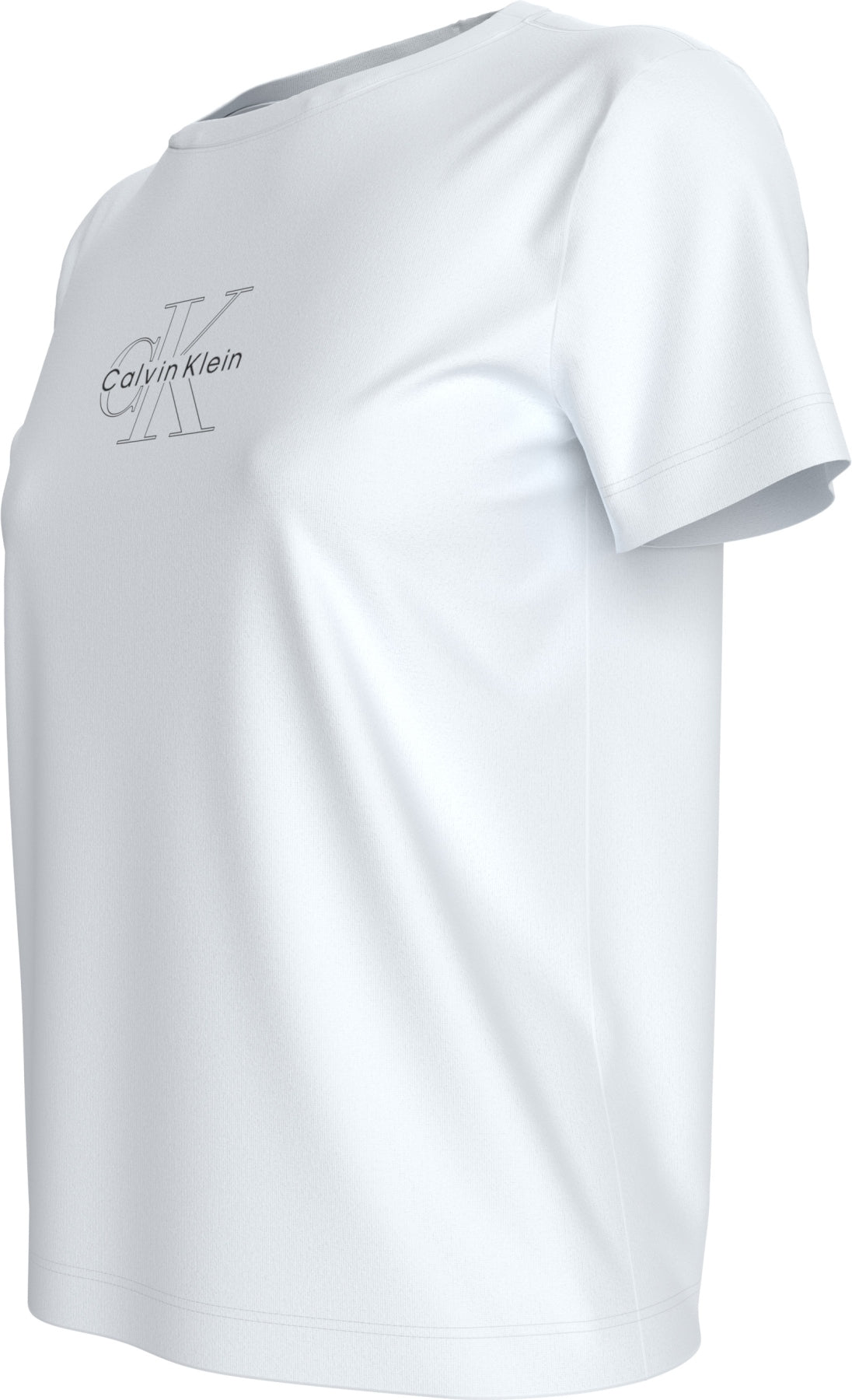 CALVIN KLEIN LVGG SS CLASSI en color YAF  (3)