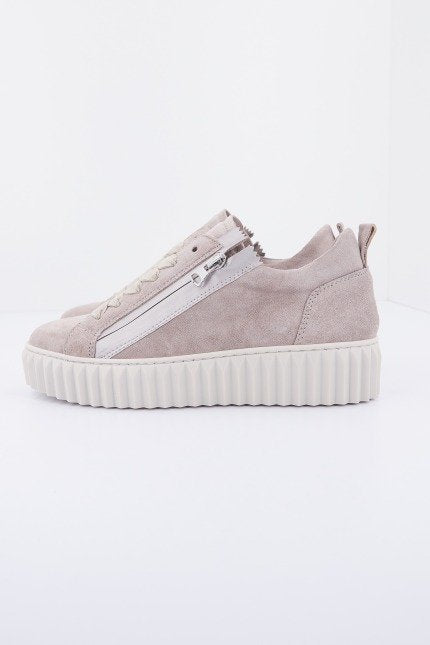 ALPE   en color POLAR  (1)