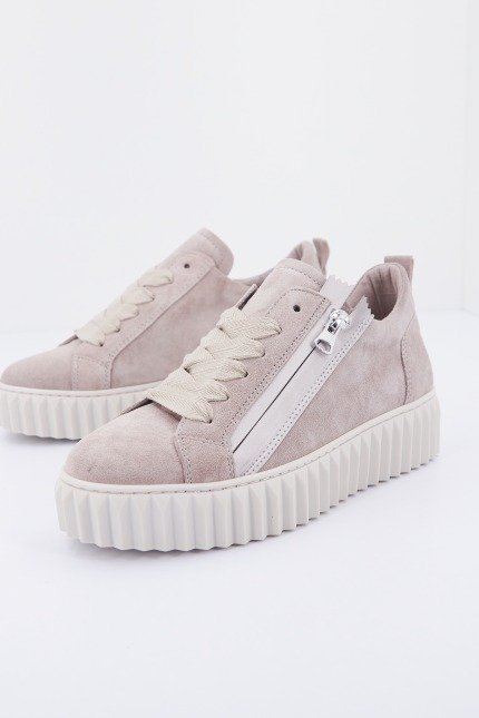 ALPE   en color POLAR  (2)