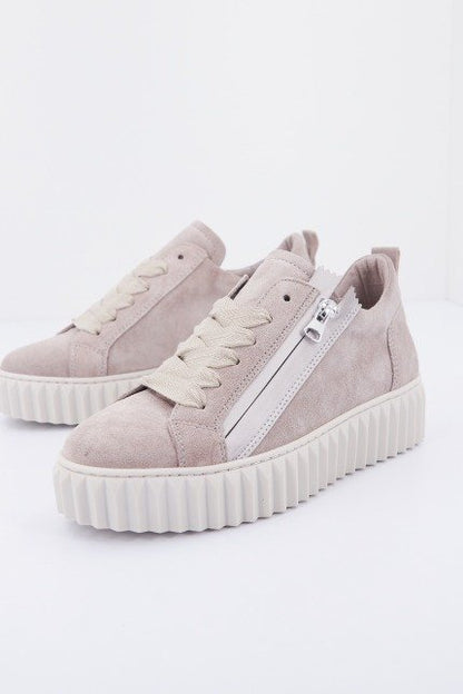 ALPE   en color POLAR  (2)