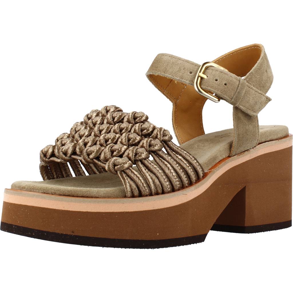 ALPE    en color SWAMP  (1)