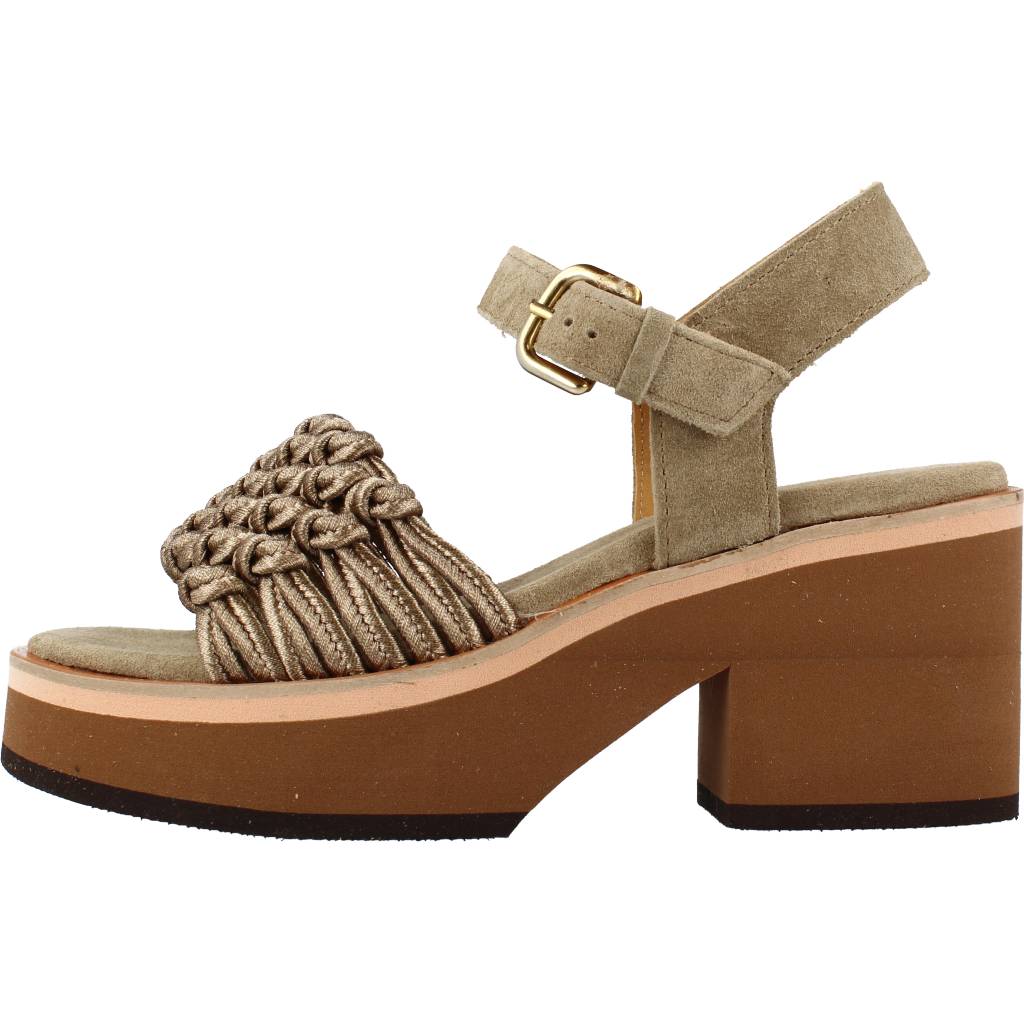 ALPE    en color SWAMP  (2)