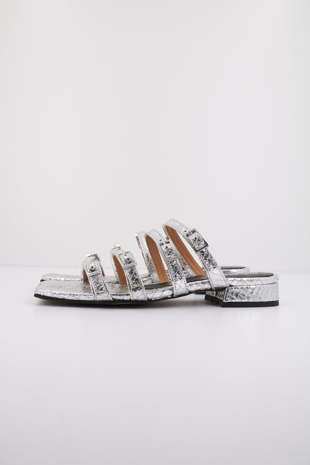 ALPE   en color PLATA  (1)