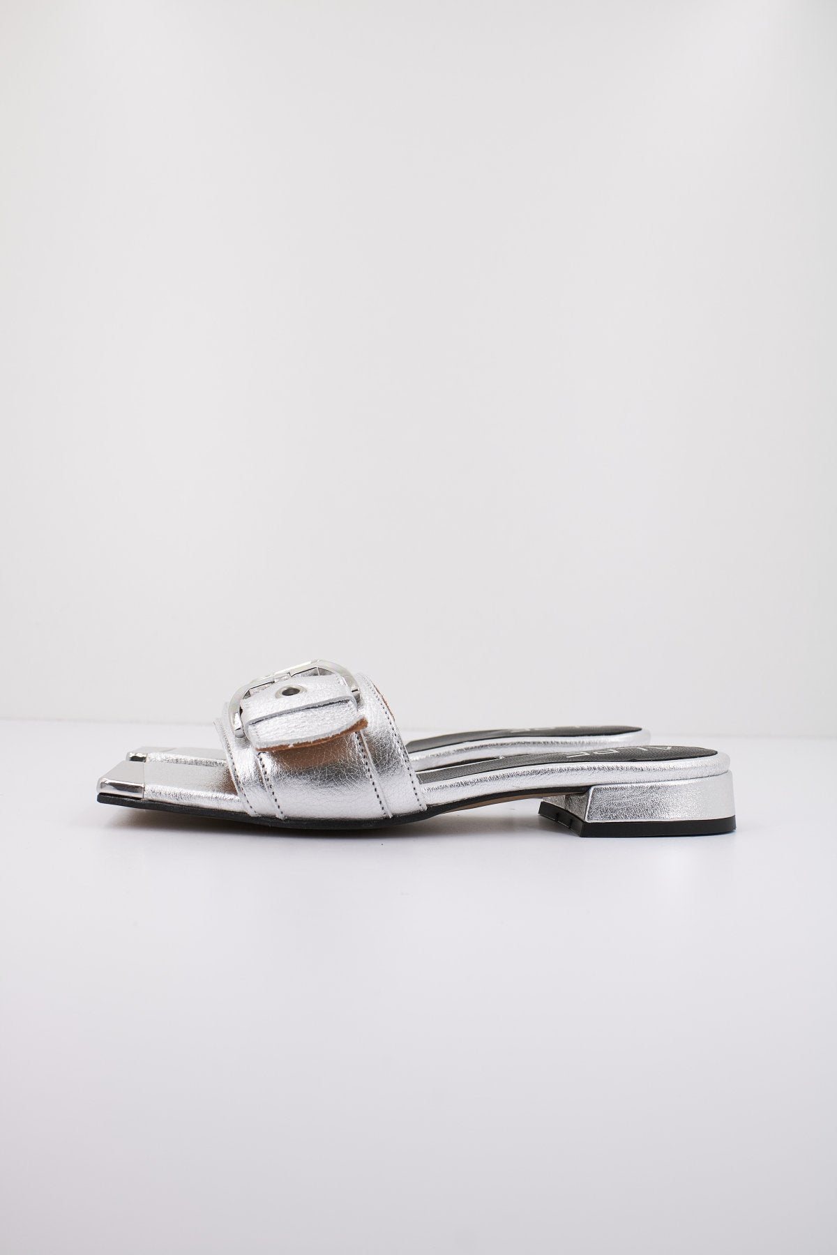 ALPE   en color PLATA  (1)