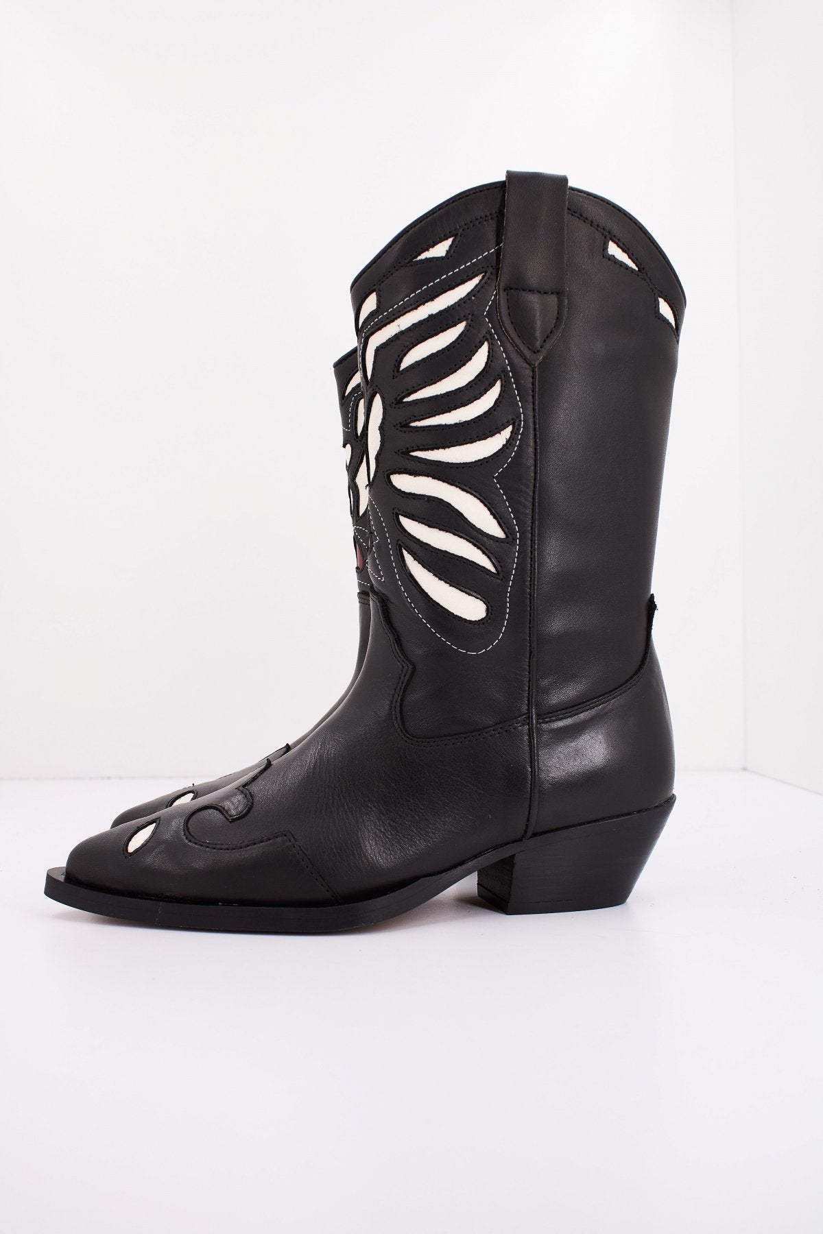 ALPE    en color NGRBLC  (1)