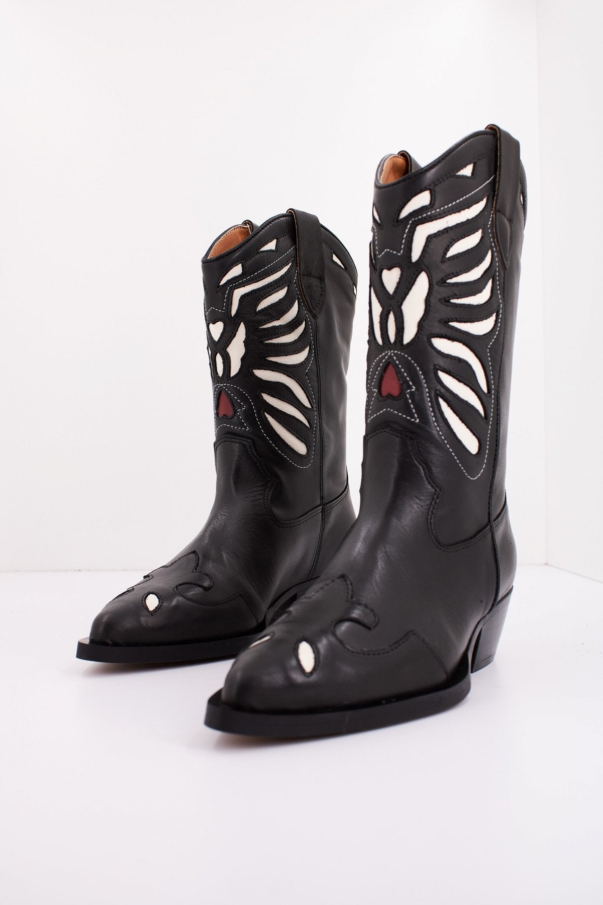 ALPE    en color NGRBLC  (2)