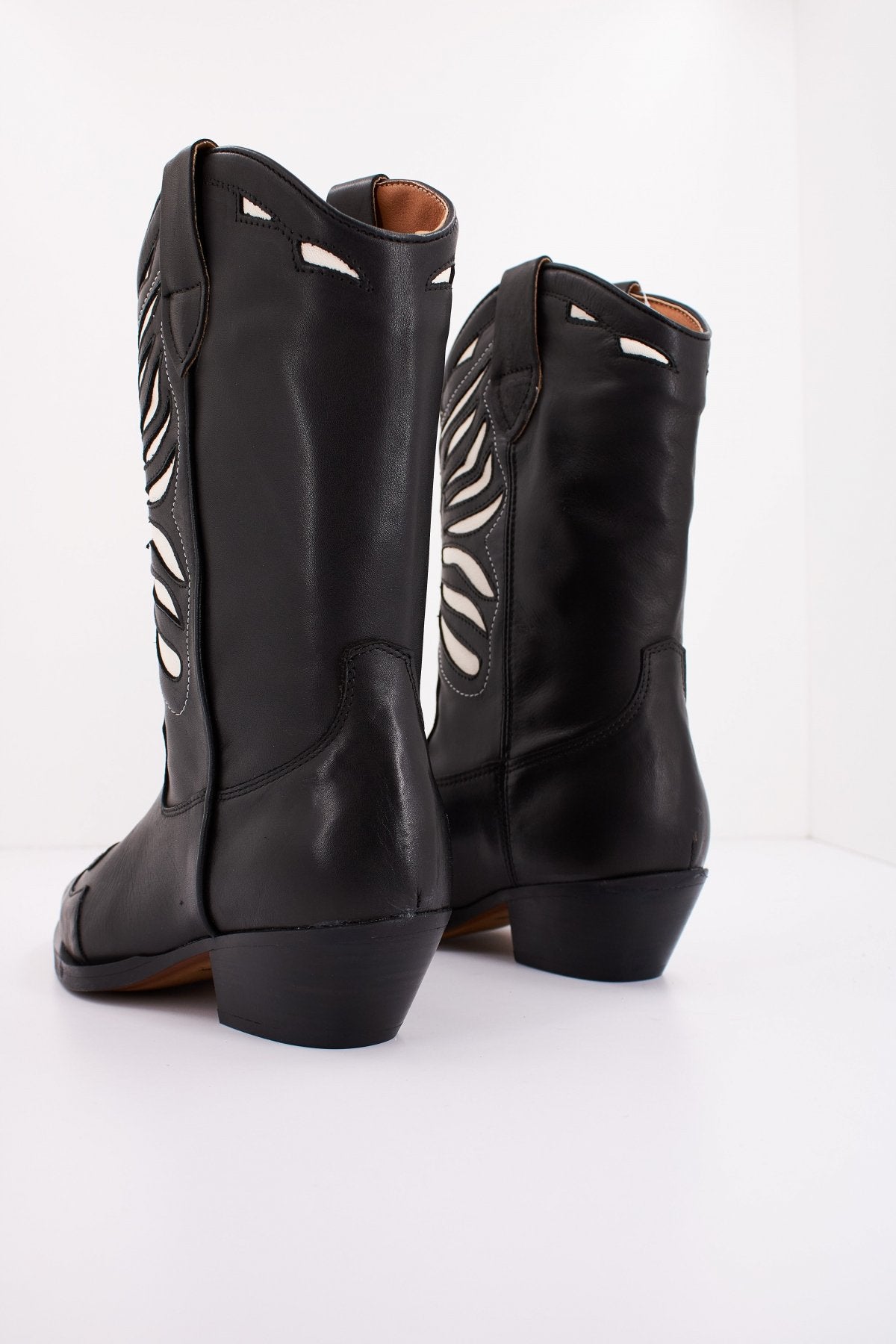 ALPE    en color NGRBLC  (3)