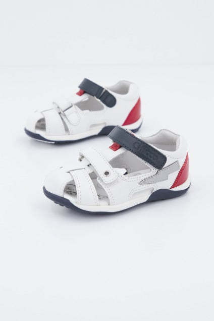 CHICCO GALILEO en color   (1)